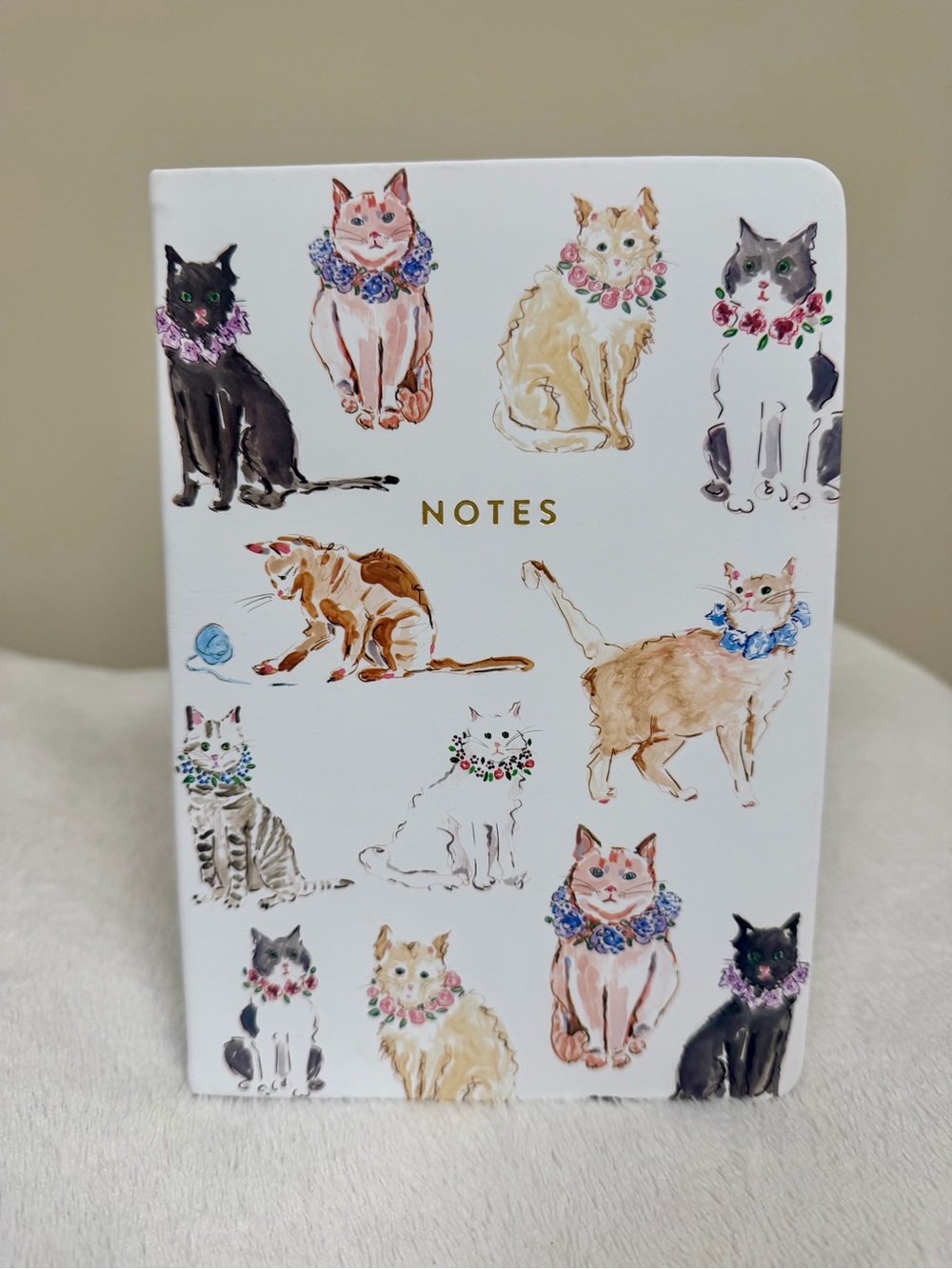 Eccolo Notebook